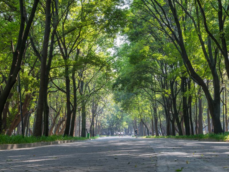 ancient Chapultepec legends