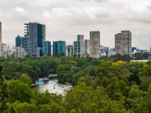 Wolf attack in Chapultepec